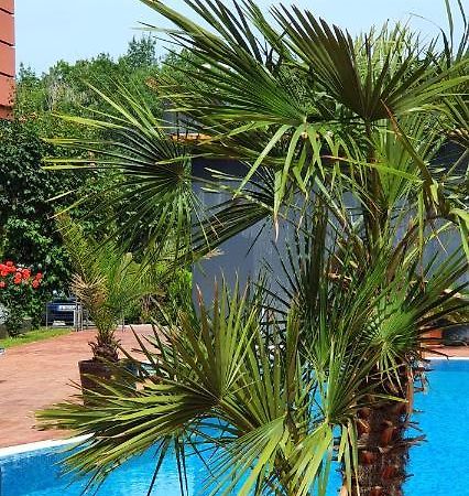 Apartament Cacao Residence Σάνι Μπιτς Εξωτερικό φωτογραφία