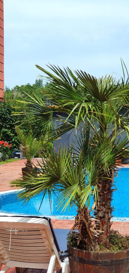 Apartament Cacao Residence Σάνι Μπιτς Εξωτερικό φωτογραφία